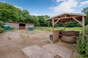 Yard- click for photo gallery